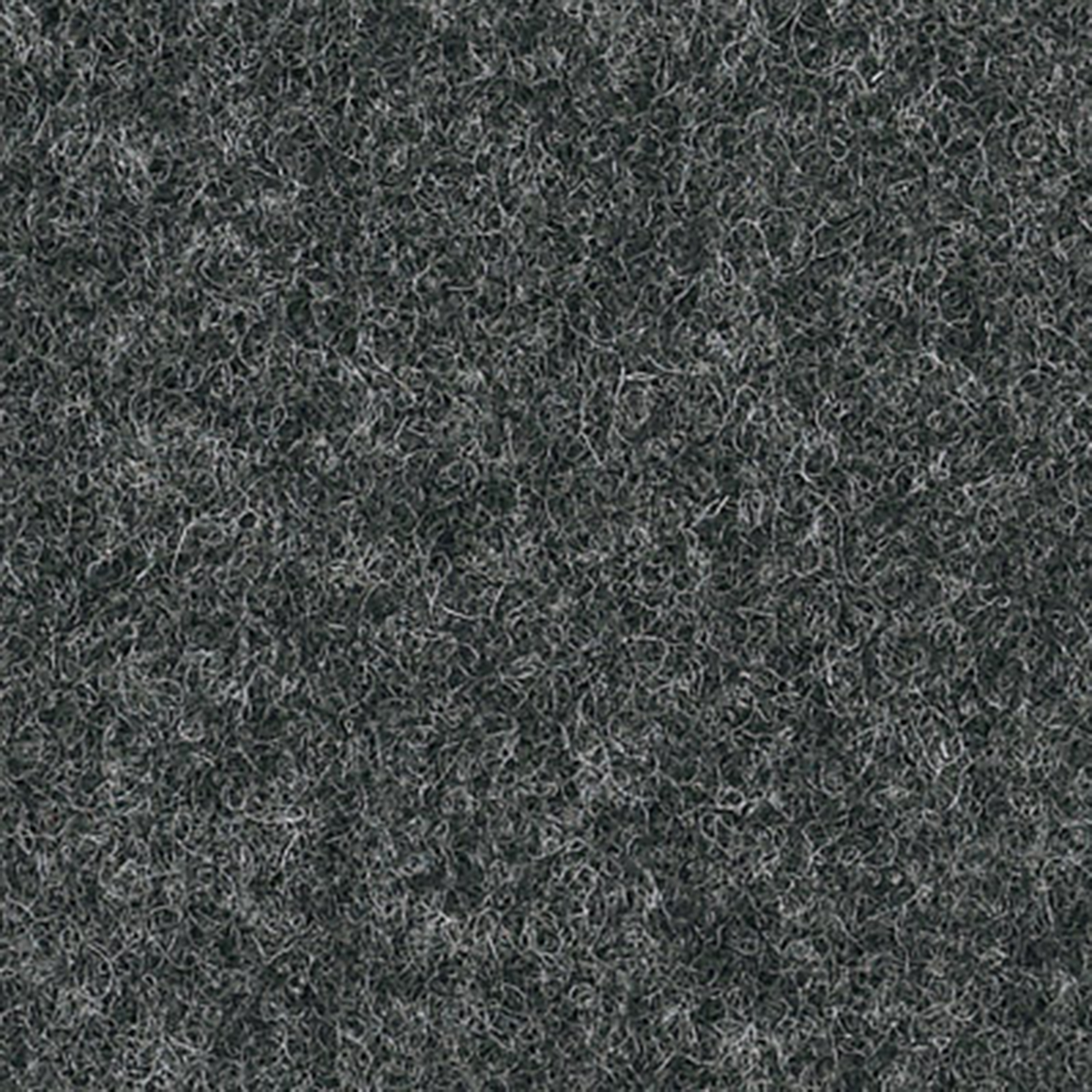 Dark Grey Wool (Camira)